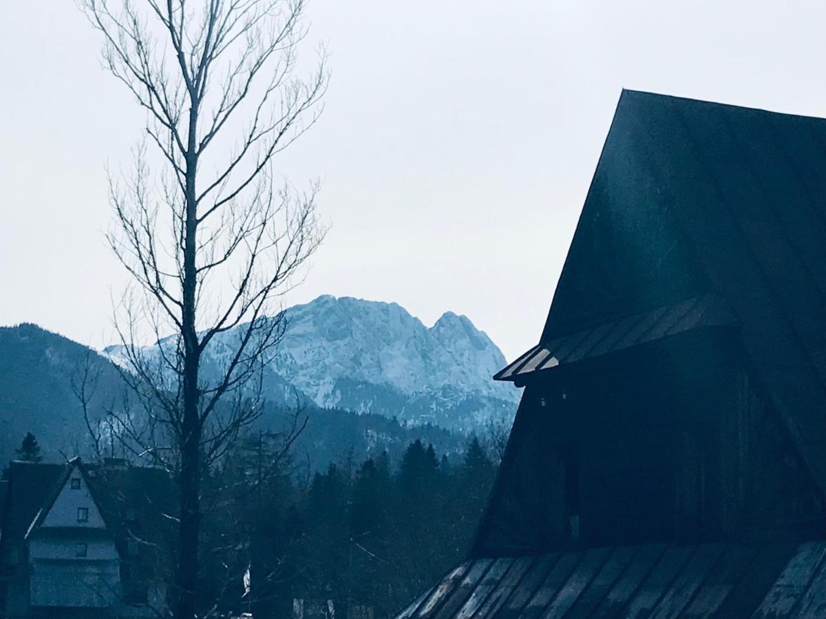 Willa Pod Gorami Zakopane Exterior photo